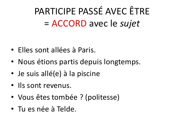 accord_du_participe_passe_etre.jpg